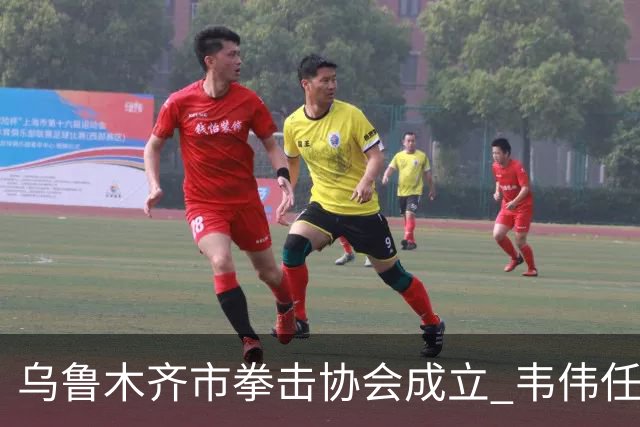 乌鲁木齐市拳击协会成立 韦伟任会长