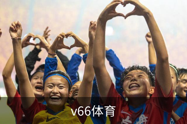 v66体育公司简介
